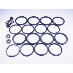 Kit reparacion pinza de...