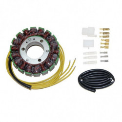 Estator electrosport esg024...