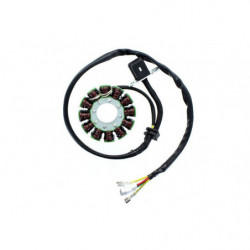 Piñon esjot paso 525-17...