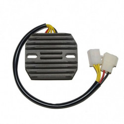 Regulador electrosport esr...