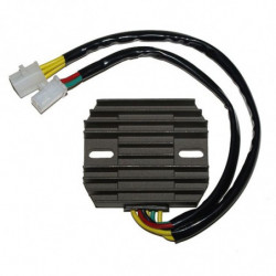 Regulador electrosport esr...