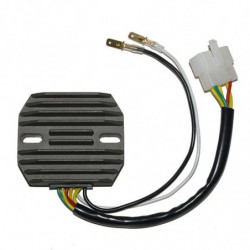 Regulador electrosport esr...