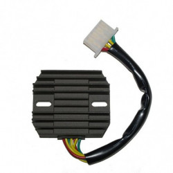 Regulador electrosport esr...