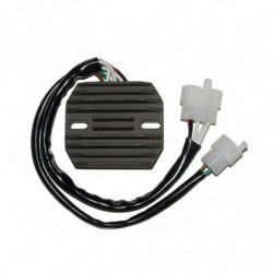 Regulador electrosport esr...