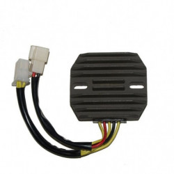 Regulador electrosport esr...