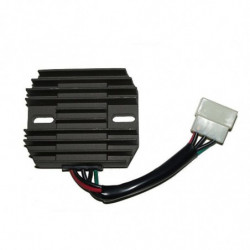 Regulador electrosport esr...