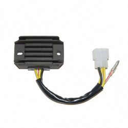 Regulador electrosport esr...
