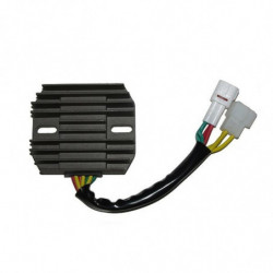 Regulador electrosport...