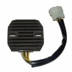 Regulador electrosport esr...