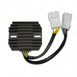 Regulador electrosport...