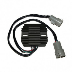 Regulador electrosport...