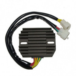 Regulador electrosport esr...
