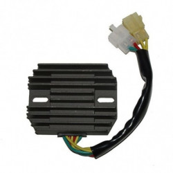 Regulador electrosport...