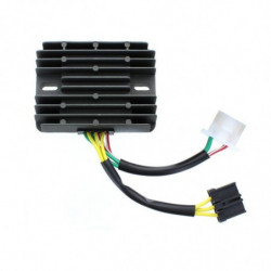 Regulador electrosport...
