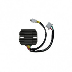 Regulador electrosport esr...