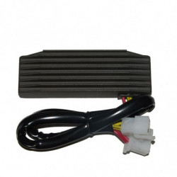 Regulador electrosport...