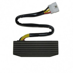 Regulador electrosport esr...
