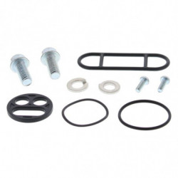 Kit reparacion grifo de...