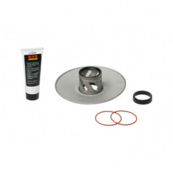 Malossi torque driver...