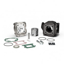Malossi cast iron cylinder...