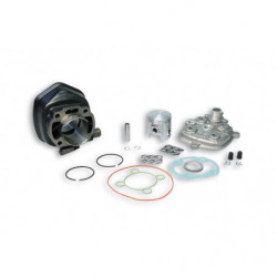 Malossi cast-iron cylinder...