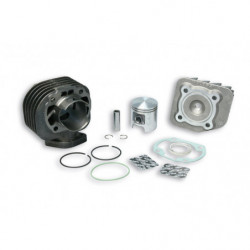 Malossi cast iron cylinder...