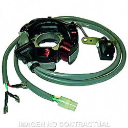 Stator 6 polos 12v 90w...