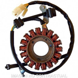 Stator sgr trifase 18 polos...