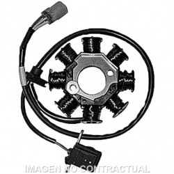 Stator sgr 8 polos (motor...