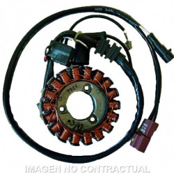 Stator kokusan trifase 18...