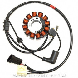 Stator kokusan trifase 12...
