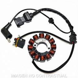 Stator kokusan trifase 12...