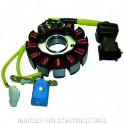 Stator kokusan trifase 12...