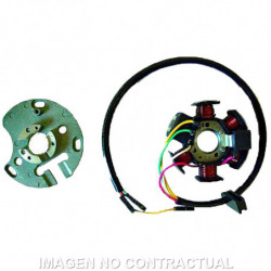 Stator kokusan 6 polos 12v...
