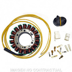 Stator sgr trifase 18 polos...
