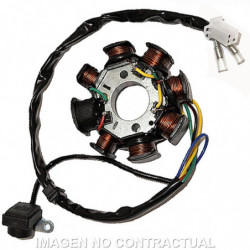 Stator sgr 8 polos (motores...