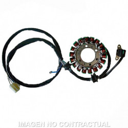 Stator sgr trifase 18 polos...