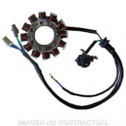 Stator sgr monofase 12...