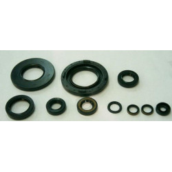 Kit retenes aceite de motor...