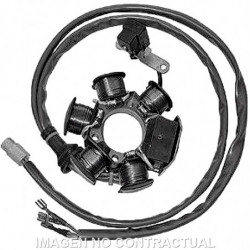 Stator sgr 6 polos 12v 90w...