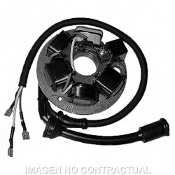 Stator ducati 6 polos...