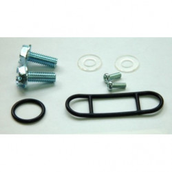 Kit reparacion grifo de...