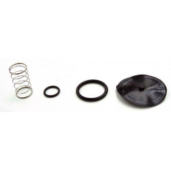 Kit reparacion grifo de...