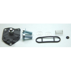 Kit reparacion grifo de...