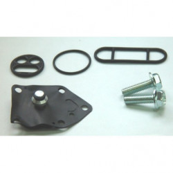 Kit reparacion grifo de...