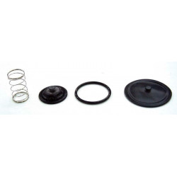 Kit reparacion grifo de...