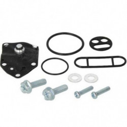 Kit reparacion grifo de...