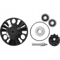 Kit reparacion bomba de...