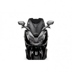 Cupula malossi sport screen...