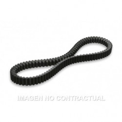 Correa x kevlar belt...
